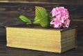 Hydrangea flower and old book