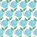 Hydrangea flower seamless pattern. Blue green petals, stem and leaves on white. Texture for print, fabric, textile Royalty Free Stock Photo