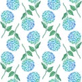 Hydrangea flower seamless pattern. Blue green petals, stem and leaves on white. Vector texture for print, fabric Royalty Free Stock Photo