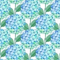 Hydrangea flower seamless pattern. Blue green petals, stem and leaves on white. Vector texture for print, fabric Royalty Free Stock Photo