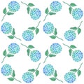 Hydrangea flower seamless pattern. Blue green petals, stem and leaves on white. Vector texture for print, fabric Royalty Free Stock Photo