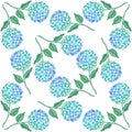 Hydrangea flower seamless pattern. Blue green petals, stem and leaves on white. Vector texture for print, fabric Royalty Free Stock Photo