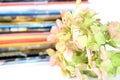 Hydrangea flower with stack of magazines Royalty Free Stock Photo