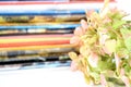 Hydrangea flower with stack of magazines Royalty Free Stock Photo
