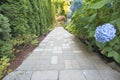 Hydrangea Flowers Along Paver Walkway