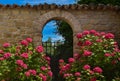 Italian garden of hydrangeas with stone arch