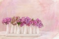 Hydrangea flowers in little vase