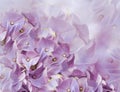 Hydrangea flowers. purple background. floral collage. flower composition. Close-up. Royalty Free Stock Photo