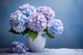 hydrangea flowers in vase on light blue pastel background Royalty Free Stock Photo