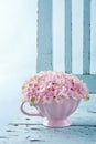 Hydrangea flowers on a vintage chair Royalty Free Stock Photo