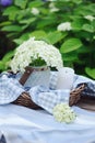 hydrangea flowers in vintage jar with candle and blue tablecloth in summer garden Royalty Free Stock Photo