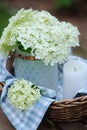 hydrangea flowers in vintage jar with candle and blue tablecloth Royalty Free Stock Photo