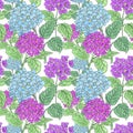 Hydrangea flowers on white background. Floral design for cosmetics, perfume, beauty care products.