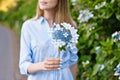 Hydrangea gardening. Portrait of young beautiful woman in long blue dress in magic blooming park in Sao Miguel, Azores