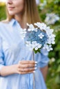 Hydrangea gardening. Portrait of young beautiful woman in long blue dress in magic blooming park in Sao Miguel, Azores