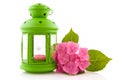 Hydrangea with green lantern Royalty Free Stock Photo