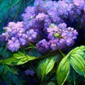 Hydrangea macrophylla - Beautiful bush of hydrangea flowers