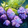 Hydrangea macrophylla - Beautiful bush of hydrangea flowers