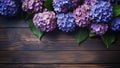 Hydrangea Hydrangea macrophylla on Wooden