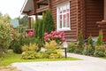 Hydrangea paniculata vanilla Frase/ Rennie.Hydrangea paniculata `Vanille Fraise` on the background of a country house