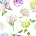 Hydrangea pattern