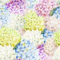 Hydrangea pattern