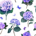 Hydrangea seamless pattern isolated on white background detailed watercolor flowers, blue pink violet floral botanical Royalty Free Stock Photo