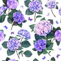 Hydrangea seamless pattern isolated on white background detailed watercolor flowers, blue pink violet floral botanical Royalty Free Stock Photo