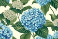 Hydrangea seamless pattern vintage floral botanical flower print