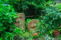 Hydrangeas and Jizo bosatsu Royalty Free Stock Photo