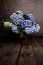 Hydrangeas in vase springtime