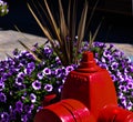 Hydrant in Flowers Royalty Free Stock Photo