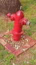 A hydrant object in the park