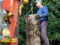 Hydraulic log splitting machine attached to a tractor the machine is being used to split large wooden logs