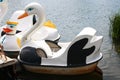 Hydro Bicycle Swan Model