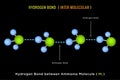 Hydrogen Bond, Inter molecular Hydrogen Bond between Ammonia Molecule