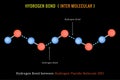 Hydrogen Bond, Inter molecular Hydrogen Bond between Hydrogen Fluride Molecule