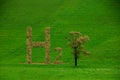 hydrogen h2 letters with brown leaves like a tree on a green meadow