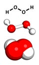 Hydrogen peroxide (H2O2) molecule