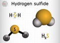 Hydrogen sulfide, hydrosulfuric acid, H2S molecule. It is highly toxic and flammable gas with foul odor of rotten eggs. Sheet of