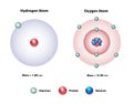 Hydrogen and Oxygen Atoms Nucleus and shells
