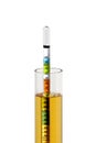 Hydrometer in Homebrew Royalty Free Stock Photo