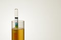 Hydrometer in Homebrew Royalty Free Stock Photo