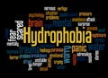 Hydrophobia fear of water word cloud concept 3