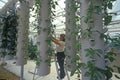 Hydroponic farming at the EPCOT Center, FL