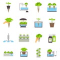 Hydroponic Flat Icons Royalty Free Stock Photo