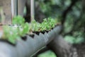 Hydroponic garden system, horizontal planting using tube, tube gardening, floriculture and modern gardening.