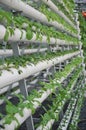 Hydroponic gardening