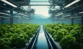 hydroponic growing system of vegetables in a greenhouse, ai generative