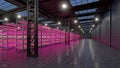 Hydroponic indoor vegetable plant factory in exhibition space warehouse. Interior of the farm hydroponics. Green salad farm.